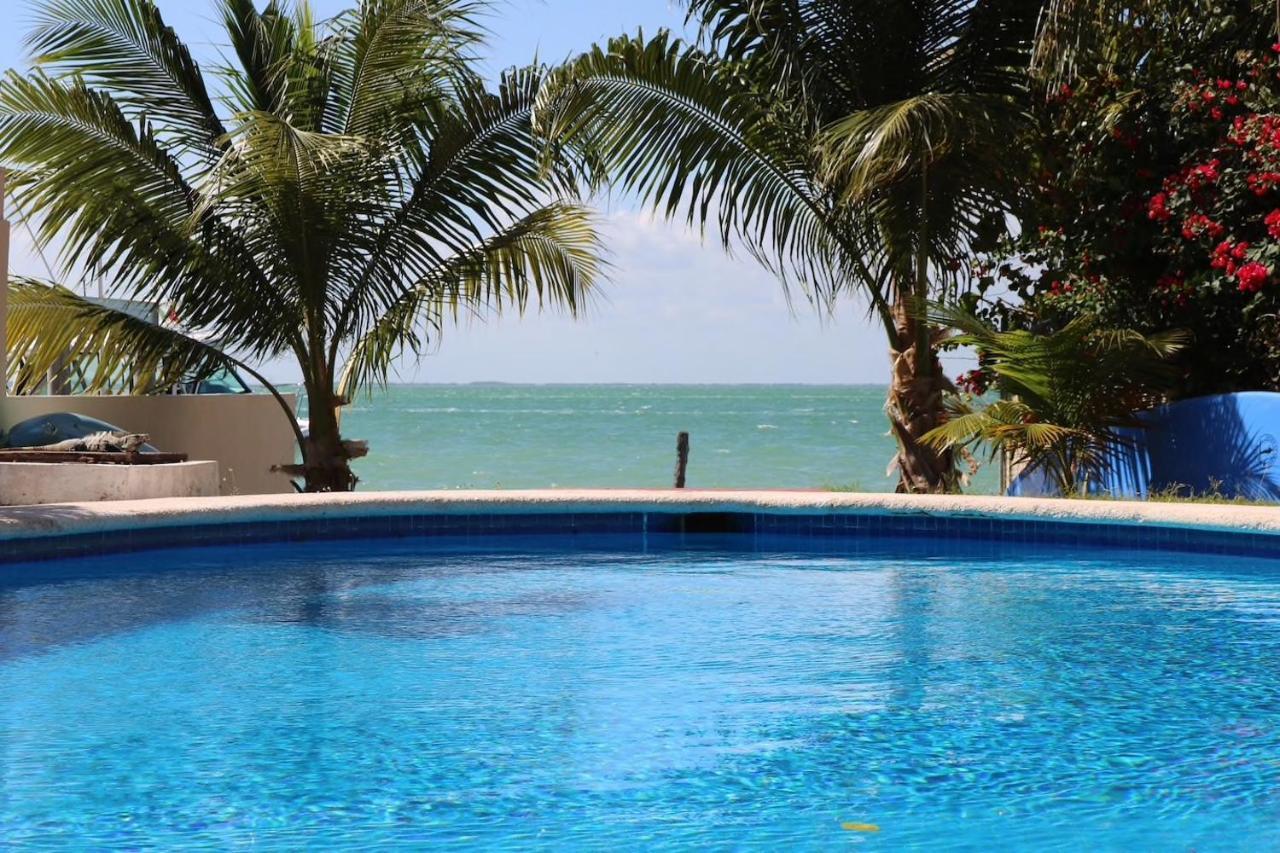 Seaak Cancun Rentals Extérieur photo